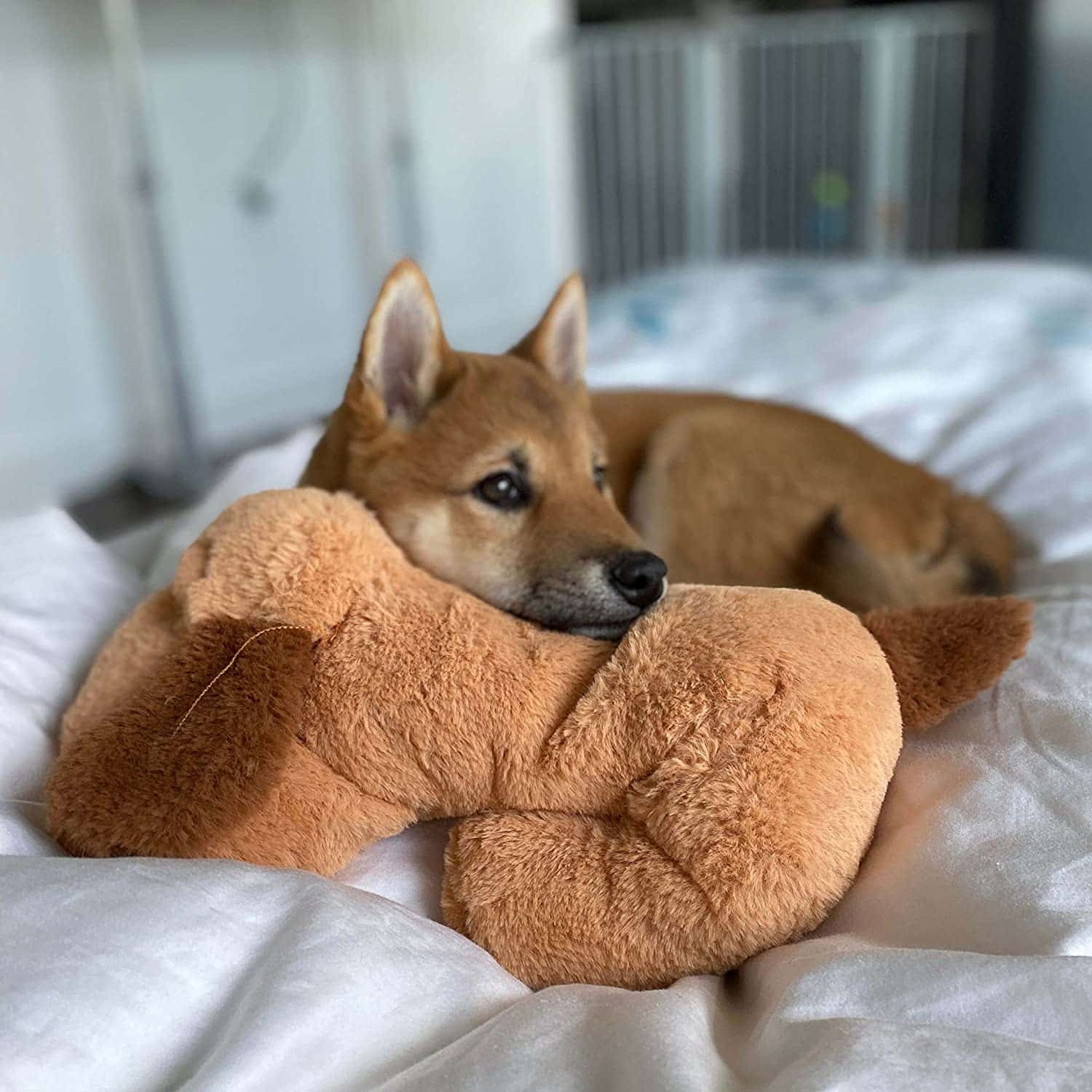The 10 Best Plush Toys for Dogs Who Like To Snuggle