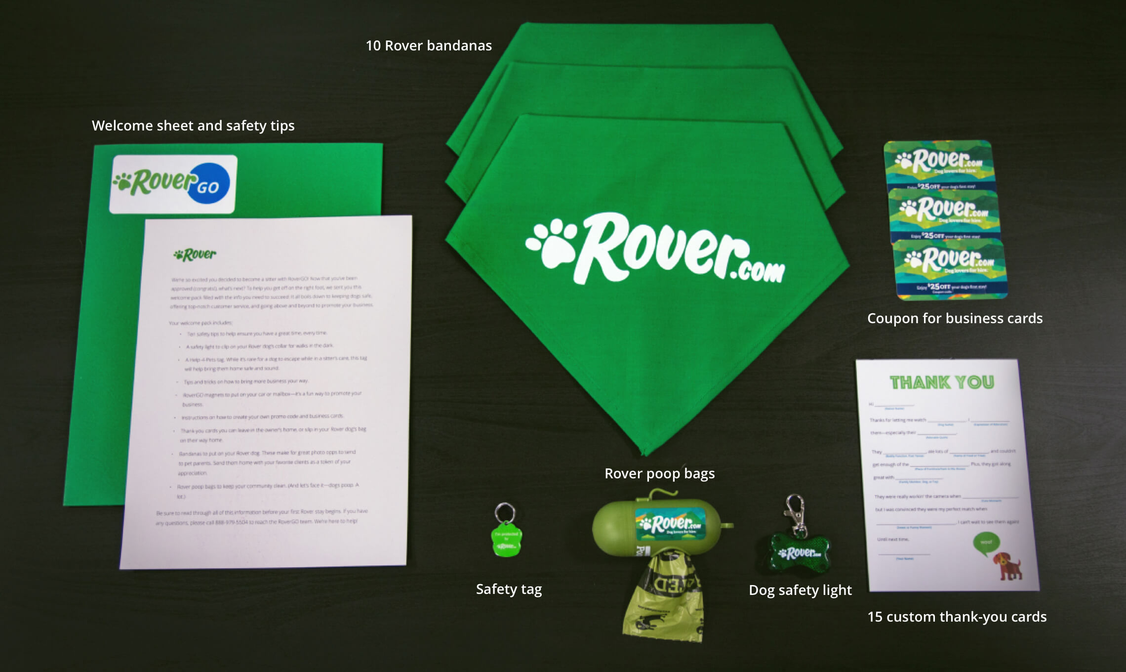 RoverGO Start a Pet Sitting or Dog Walking Business with