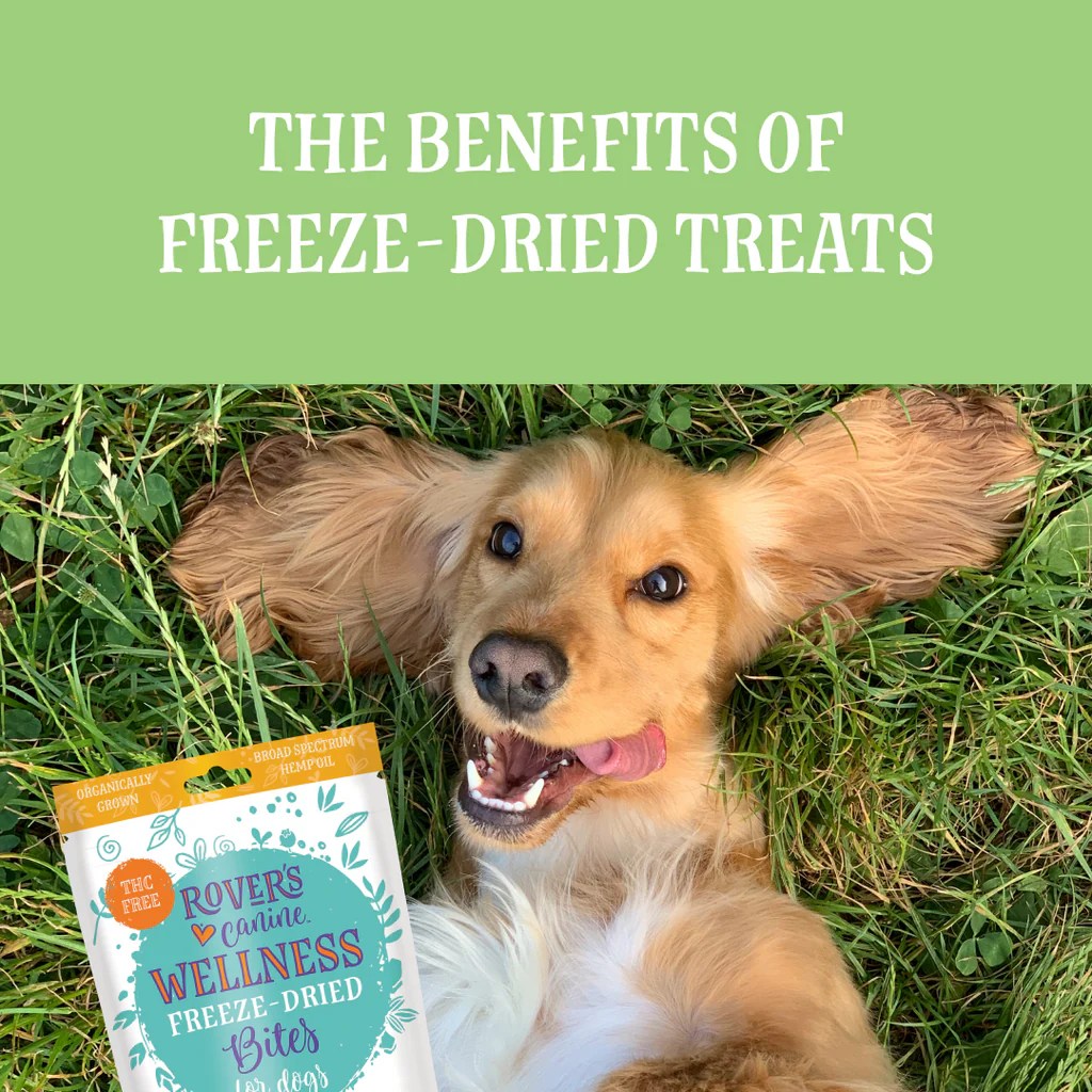 Why choose freezedried dog treats? Rover's Wellness