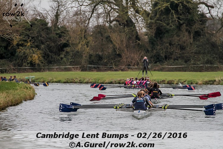 Rowing News Live Racing Stream