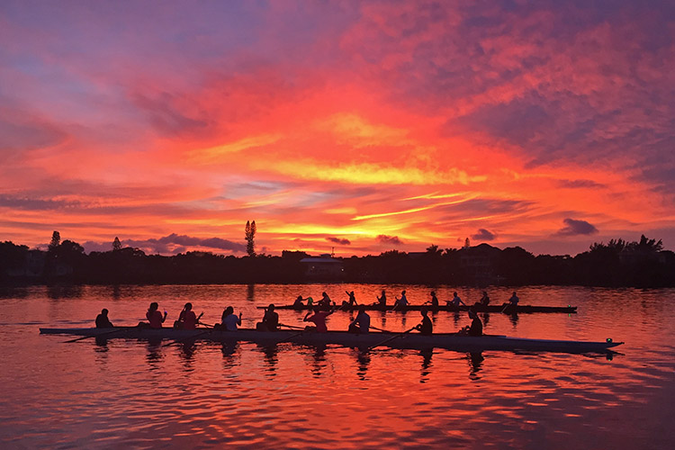 Sunset in Sarasota row2k Rowing Photo of the Day