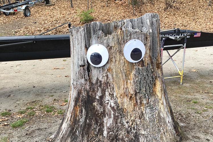 Stroke Seat row2k Rowing Photo of the Day