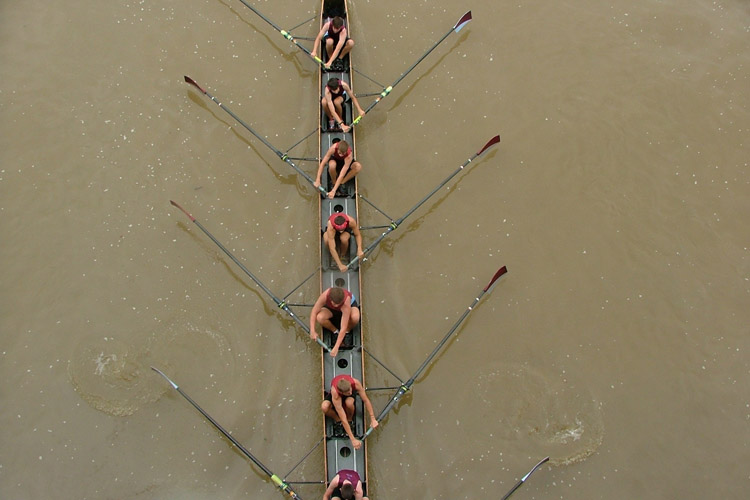 Bridge View row2k Rowing Photo of the Day