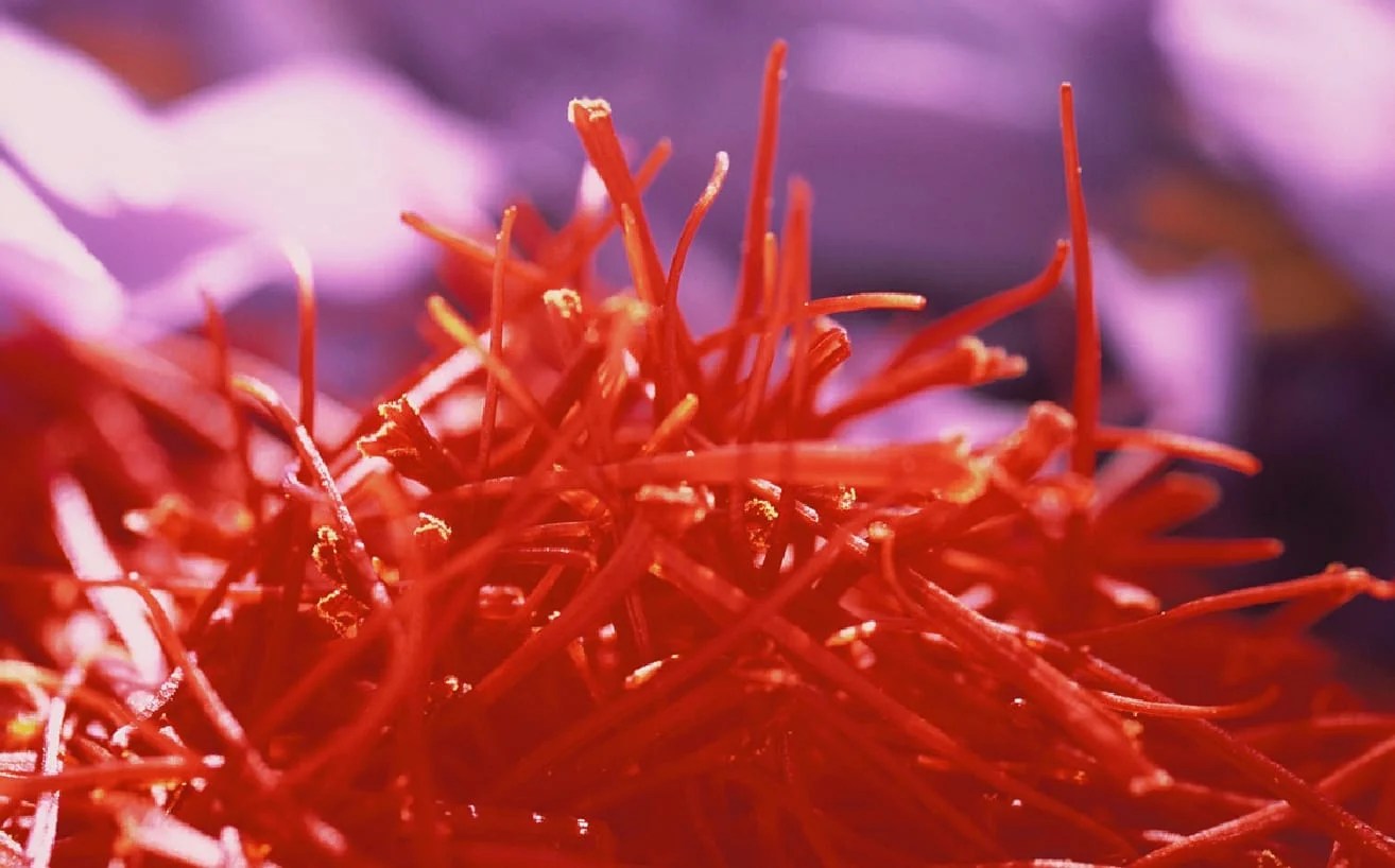 Saffron Tea Properties Iranian Saffron supplier and exporter