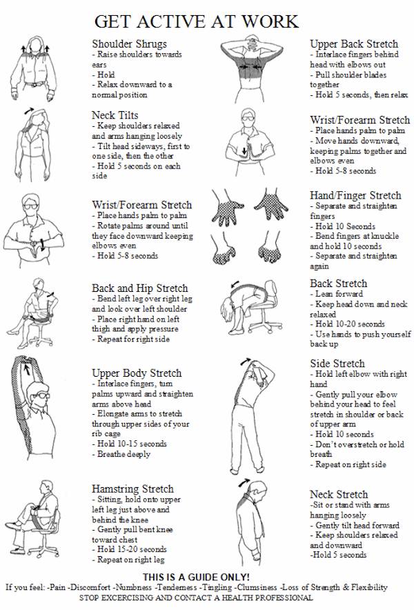 Why Use an Ergonomic Rower for Back Pain?