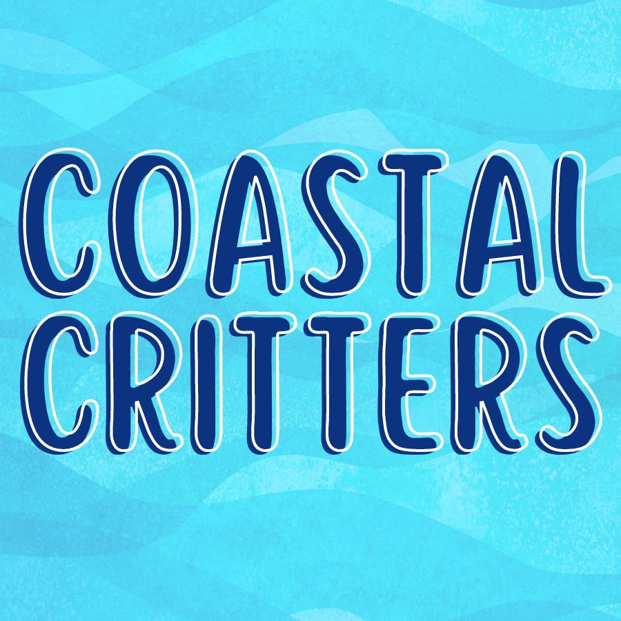 Rowley Public Library Official website for the Town Library in Rowley