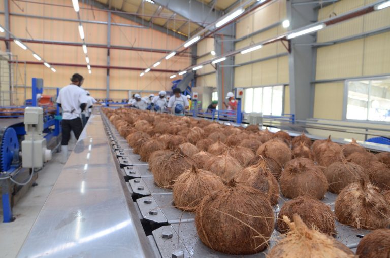 Roxas Sigma's World Class Coconut Processing Plant