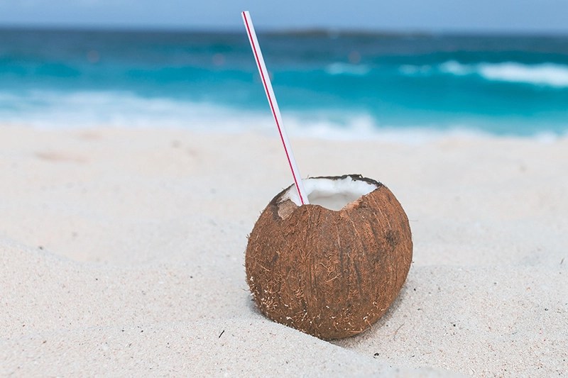 Top 11 Best Coconut Perfumes Revisit Our Favorite Scents!