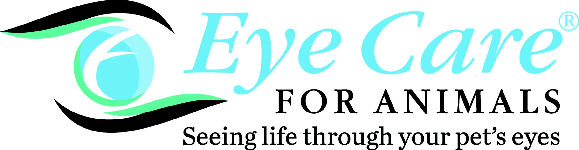 Meet Our Team at Chaparral Veterinary Medical Center