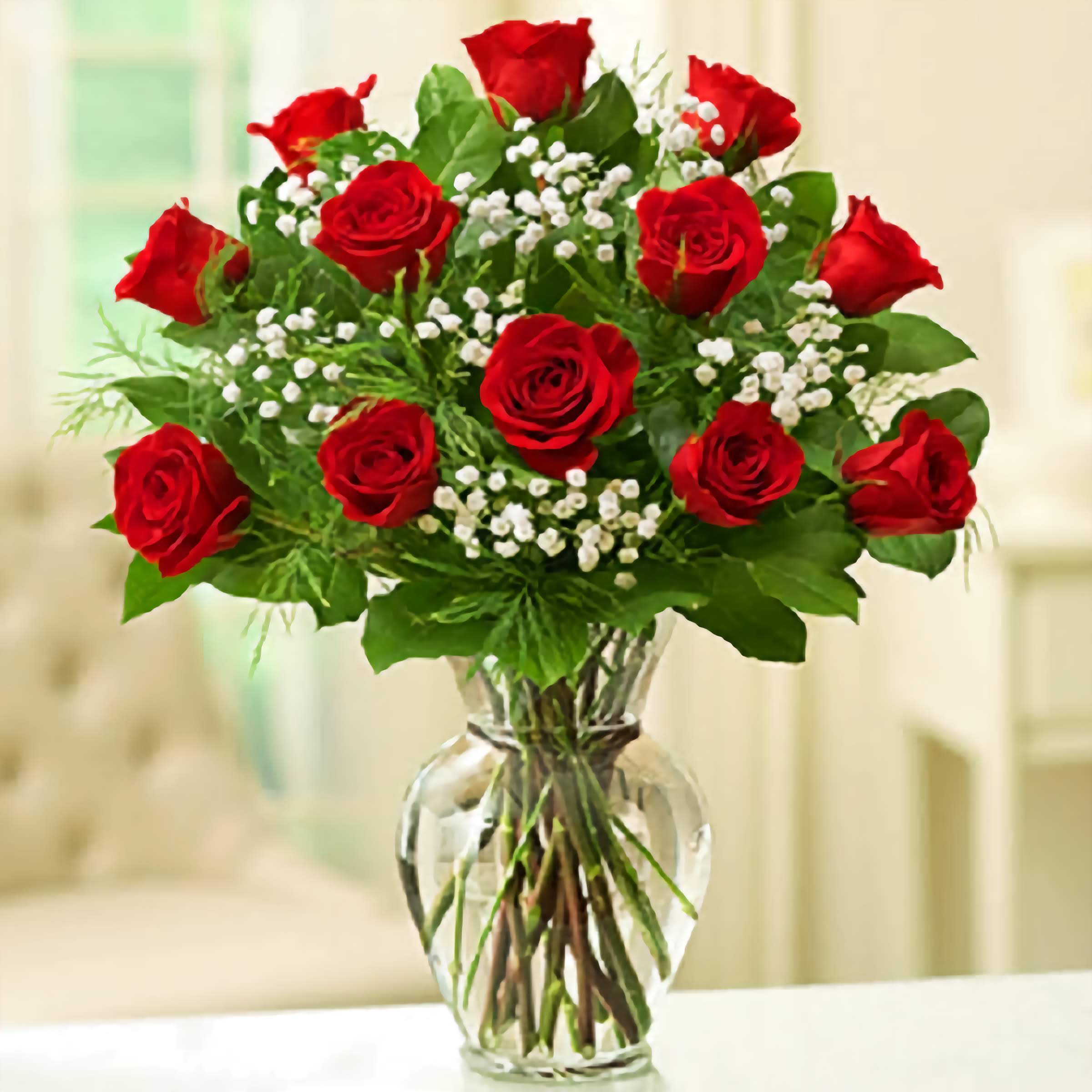 12 Red Roses With Baby Breath Royal Fleur Florist