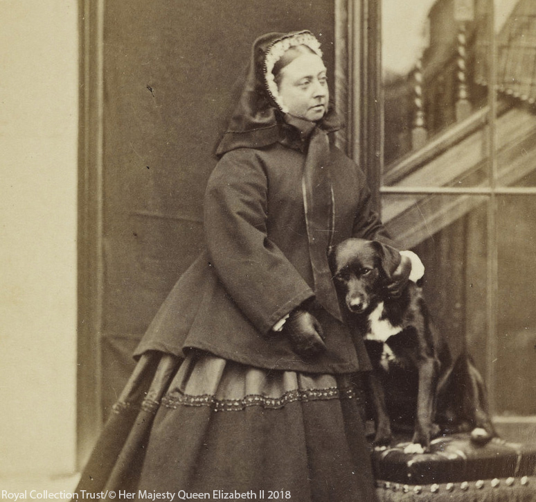 A History of Royal Dogs Royal.uk