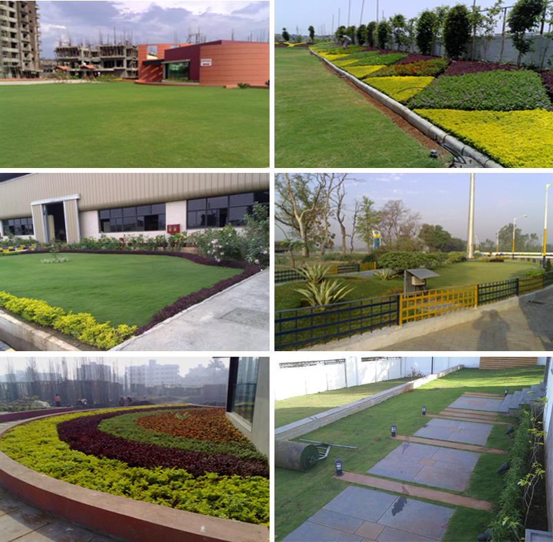 royal green landscape, royal green, landscaping services, complete