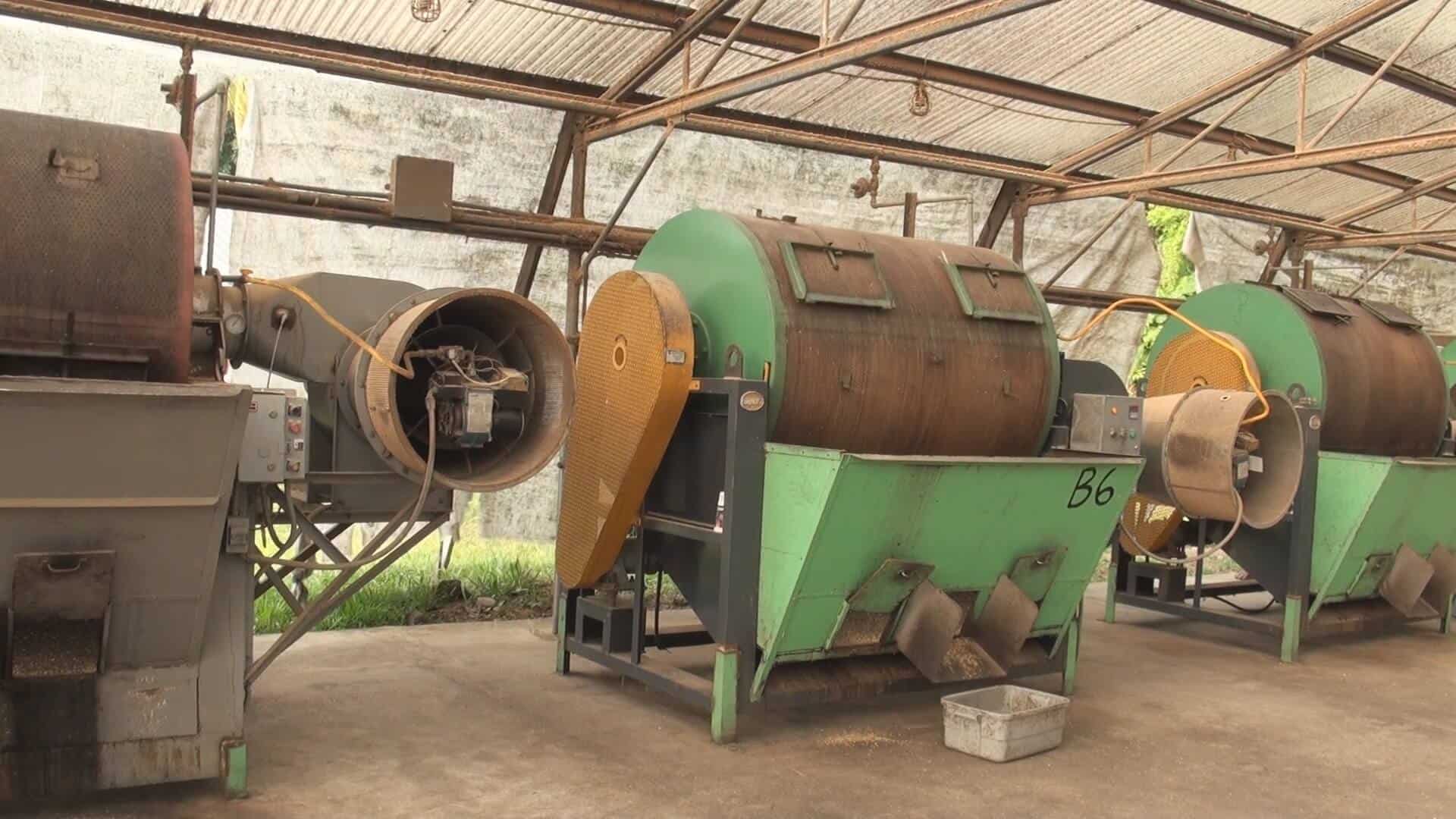 Mechanical Coffee Dryers Royal Kona Coffee