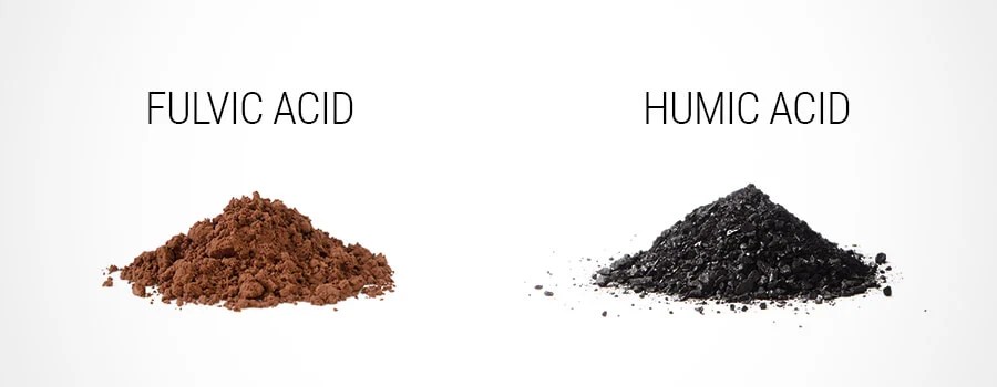 The Benefits Of Humic And Fulvic Acids For Growing Cannabis RQS Blog