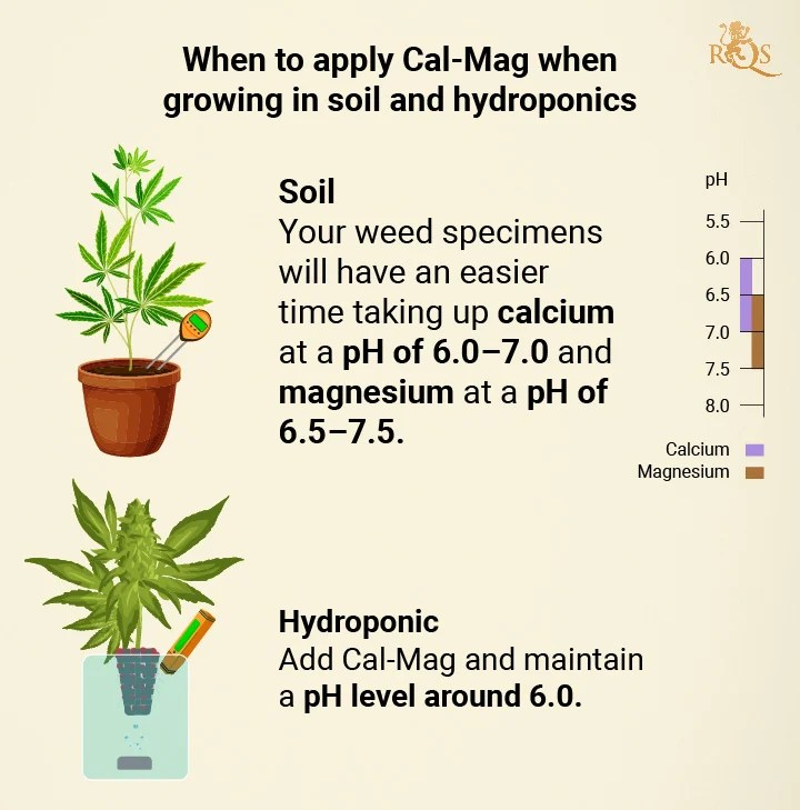 CalMag for Cannabis All You Need to Know RQS Blog