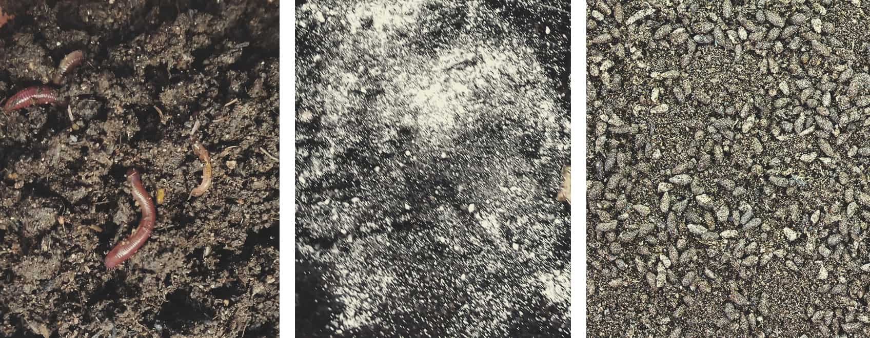 Top Dress Your Weed Plants To Feed Your Soil RQS Blog