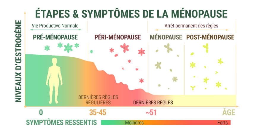 Le CBD peutil aider à soulager les symptômes de la ménopause? Le