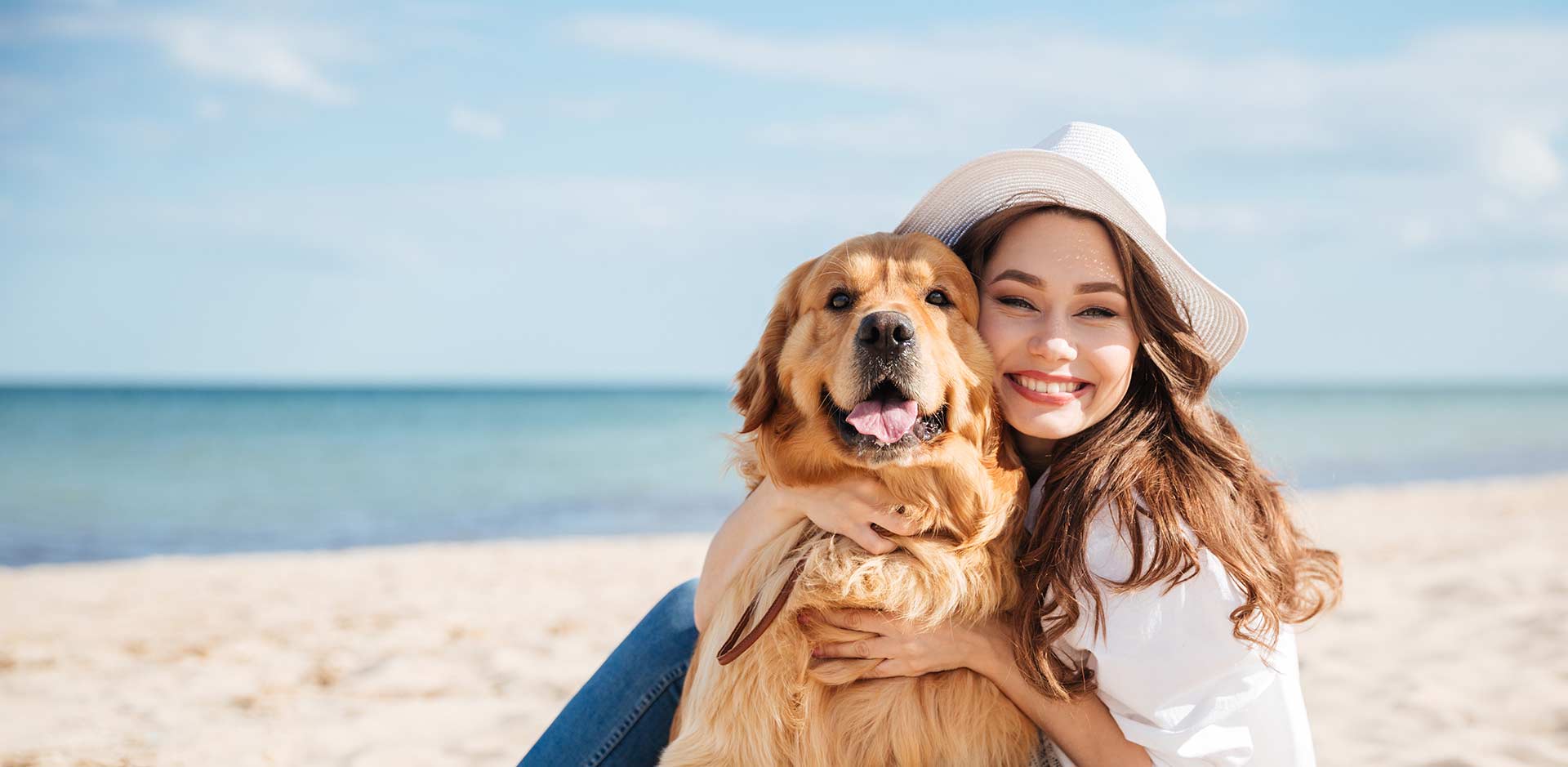 DogFriendly Rentals Royal Shell