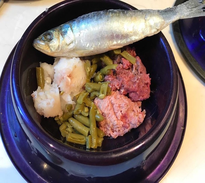 DOG FOOD LynWood Cavalier King Charles Spaniels Linda Baird