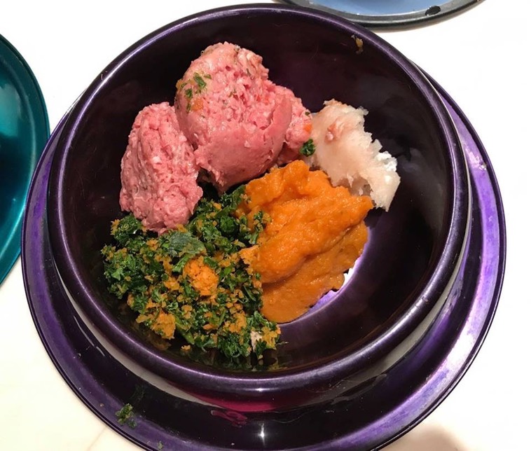 DOG FOOD LynWood Cavalier King Charles Spaniels Linda Baird