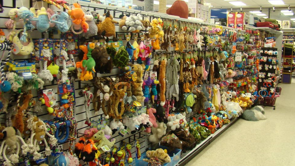 Are Dog Toys From China Safe