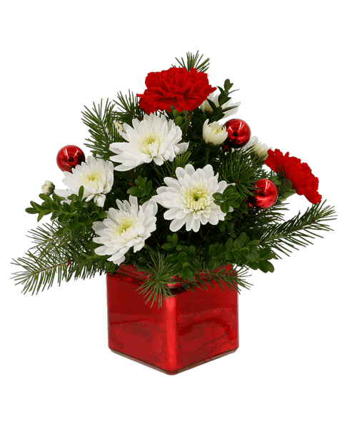Christmas All Items Royer's flowers and gifts Flowers, Plants