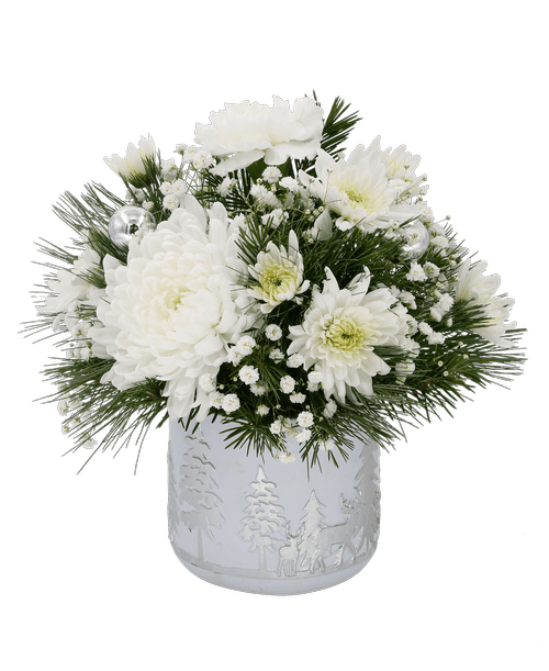 Royers Flowers Carlisle Pa Hours Best Flower Site