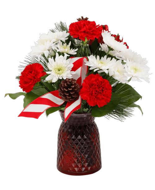 Christmas All Items Royer's flowers and gifts Flowers, Plants