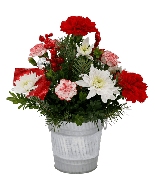 Dried Flower Arrangements Lancaster Pa Best Flower Site