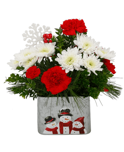 Christmas All Items Royer's flowers and gifts Flowers, Plants