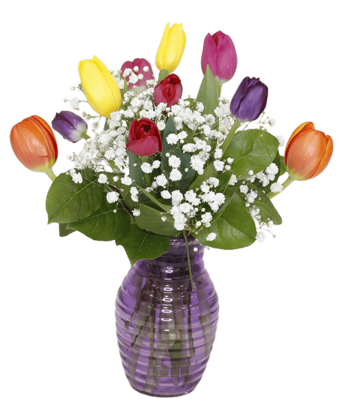 Royer S Flowers Gifts Loucks Road York Pa Best Flower Site