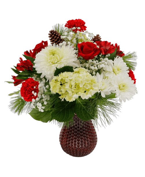 Christmas All Items Royer's flowers and gifts Flowers, Plants