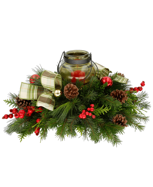 Christmas All Items Royer's flowers and gifts Flowers, Plants
