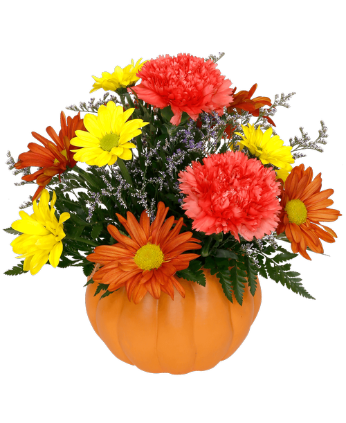 Camp Hill Flower Shop at 3015 Gettysburg Road Camp Hill, PA Royer's