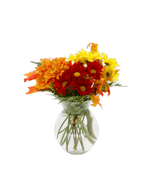 York East Flower Shop at 2555 Eastern Boulevard York, PA Royer's