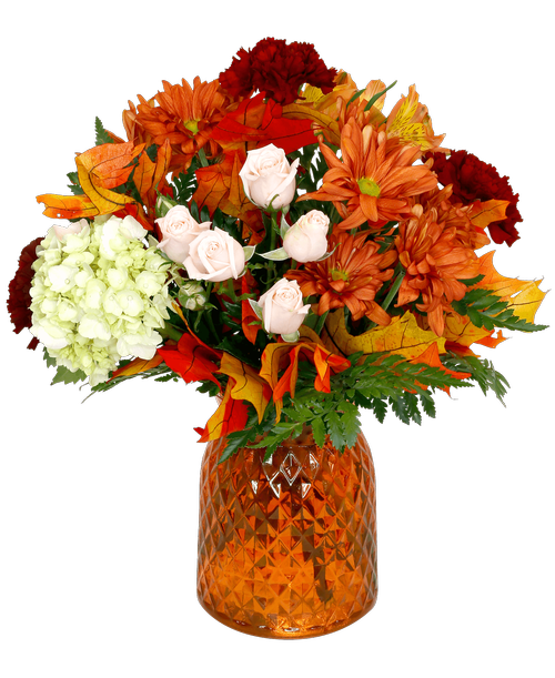 Ephrata Flower Shop at 165 South Reading Road Ephrata, PA Royer's