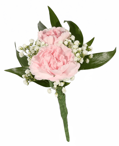 Royer's flowers and gifts Flowers, Plants and Gifts with