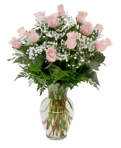 Royers Flowers Mechanicsburg Pa Best Flower Site