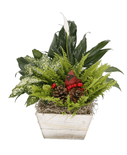 Harrisburg PA Flower Shop at 4907 Orchard Street Delivery to Harrisburg, PA Royer's flowers