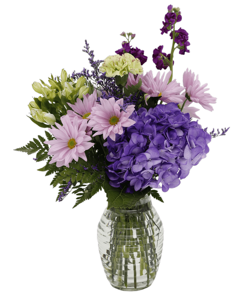 Royers Flowers Mechanicsburg Pa Best Flower Site