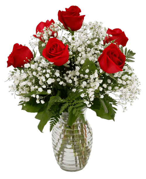 Royers Flowers Mechanicsburg Pa Best Flower Site