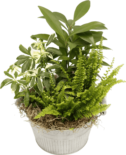 Carlisle Flower Shop at 100 York Rd Carlisle, PA Royer's flowers and