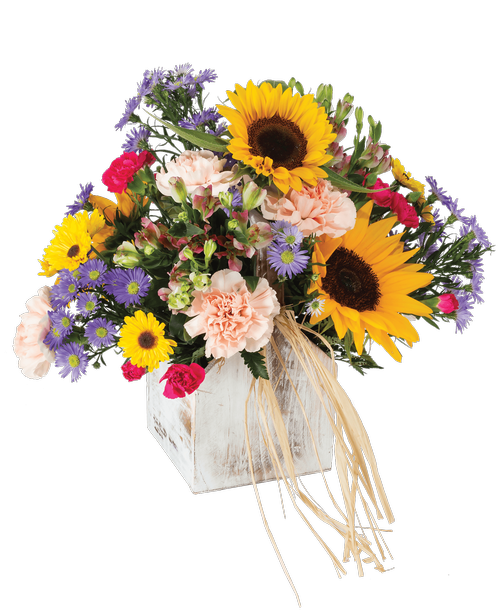 Royer's Flowers & Gifts Lancaster / Home Royer's flowers and gifts
