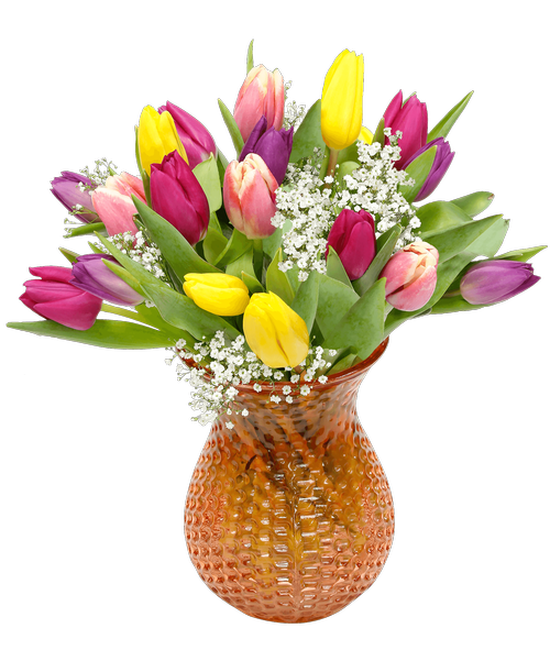 Camp Hill Flower Shop at 3015 Gettysburg Road Camp Hill, PA Royer's