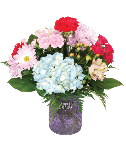 Floral Collection Royer's flowers and gifts Flowers, Plants and Gifts with same day delivery