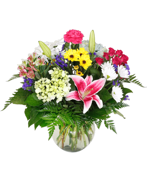 Floral Collection Royer's flowers and gifts Flowers, Plants and