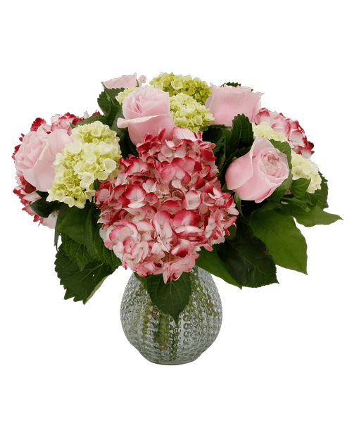 Royers Flowers Mechanicsburg Pa Best Flower Site