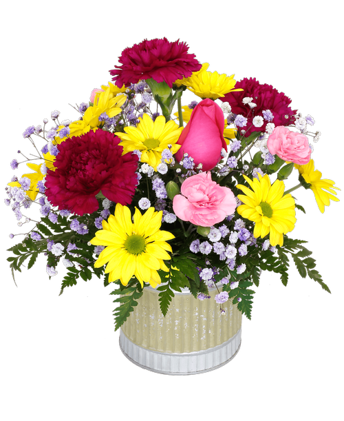 Floral Collection Royer's flowers and gifts Flowers, Plants and