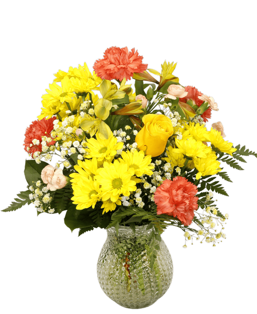 Camp Hill Flower Shop at 3015 Gettysburg Road Camp Hill, PA Royer's