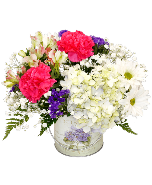 Royer S Flowers Gifts Loucks Road York Pa Best Flower Site